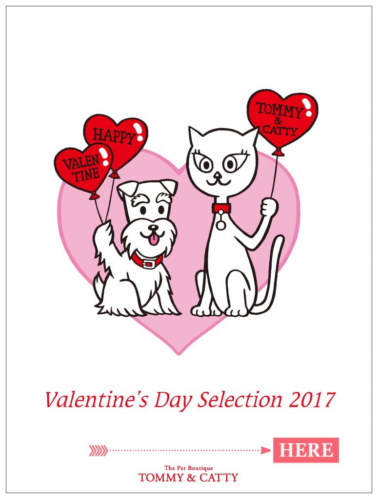 VD2017-2リンク-2