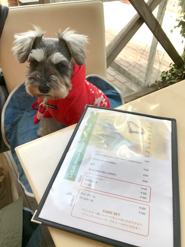 38A270D4-B1DA-46D8-AFBD-7FAAD26113D0